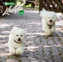 Nature's Protection Lifestyle Snacks Active & Fresh Puppy 150g dog