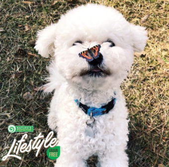 Nature's Protection Puppy Veal 400g