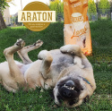 Araton Dog Adult Lamb All Breeds 3 kg