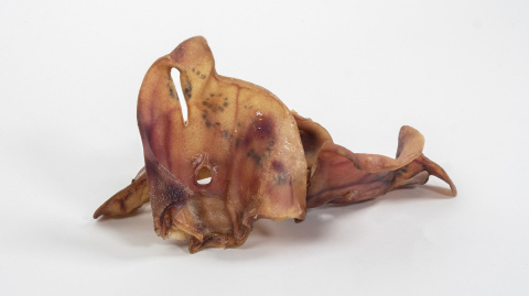 BULT Wędzone Ucho Wieprzowe 10szt. XL