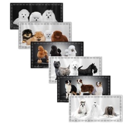 TAURO RĘCZNIK Z MIKROFIBRY 80x160 cm WZÓR MALTAŃCZYK BICHON POMERANIAN